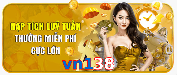 vn138